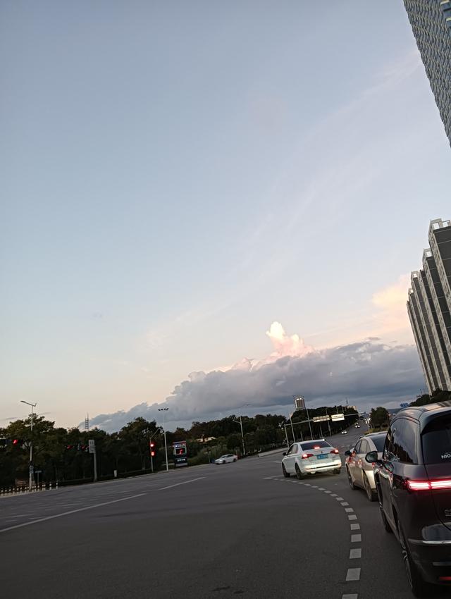 低头拉车还需要抬头看天