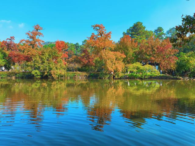 又见天平山：一叶知秋，一枫醉心