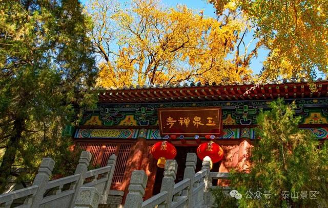 千万别在秋天来泰安，不然真的很难戒断