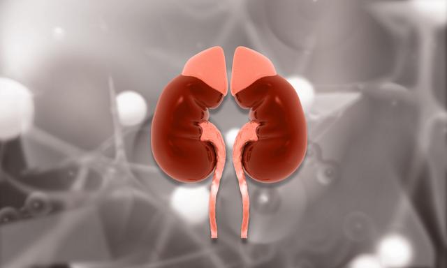 为什么现在癌症高发？看看这7种蔬菜，你家里常吃吗？赶紧扔掉！