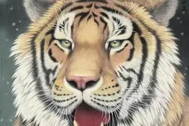 明清时期的江西虎患：一万人命丧虎口，因麻布业的发展而消失图片