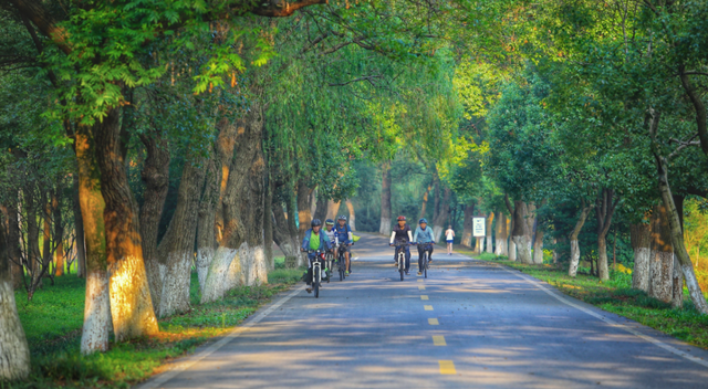 共20处！浙江公路与运输行业第一批重点历史文化遗存名单公布