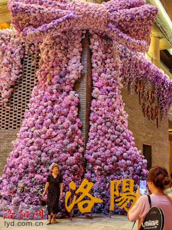 打卡新地标 感受新变化