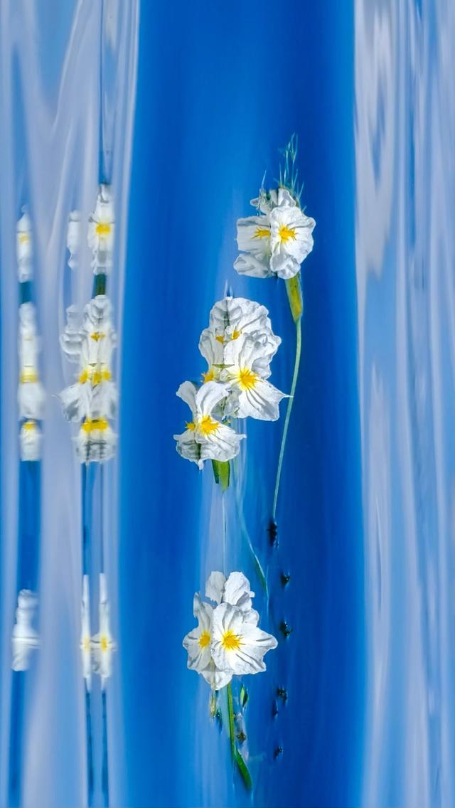 大理之蓝，蓝得让人心碎