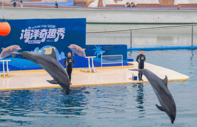 秦皇岛国庆「旅游活动」汇总，从日间嗨玩到夜游盛宴，解锁N种玩法！