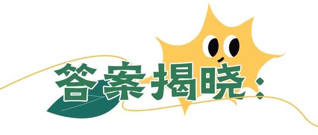 唤醒太湖夏日多巴胺｜测一测你的夏日专属快乐配方！