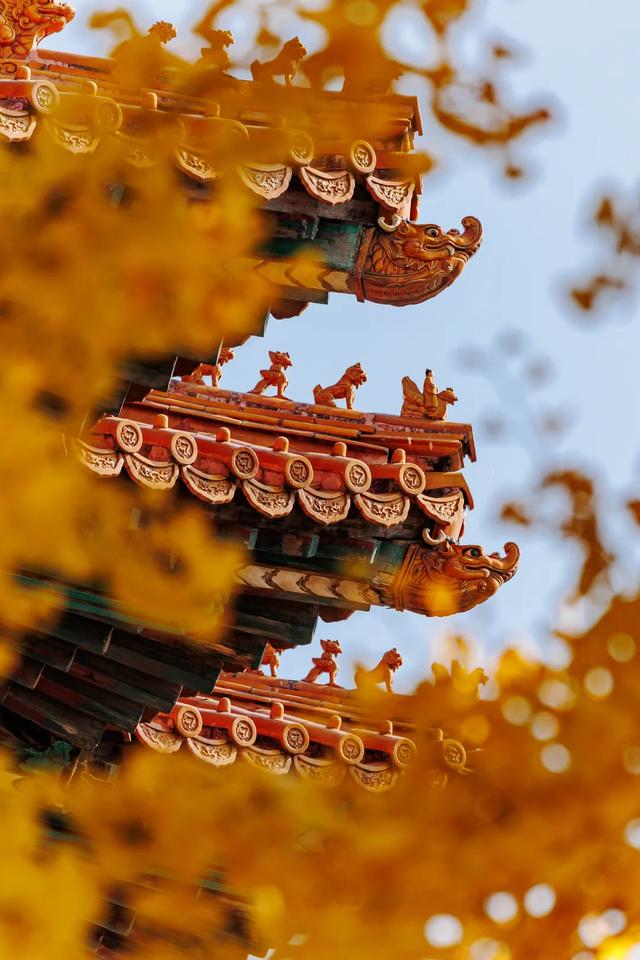 你会怀念这个秋天吗？