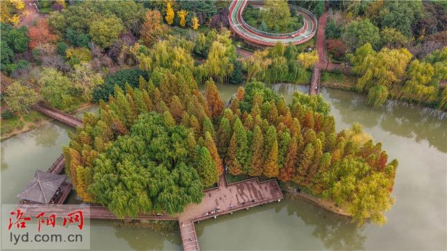 兴洛湖公园景如画