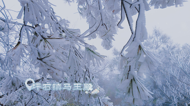 朋友圈C位预告！韶关雾凇限时上线，这片赏冰秘境地图等你来打卡