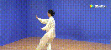 24式太极拳歌诀	，建议背下来！（附动图教学）