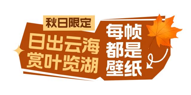 是什么让江西旅行社老俵直呼相见恨晚？