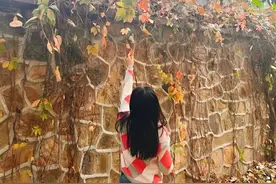 985本硕，三年被裁三次，大厂、高校都试过了，我还要更努力吗？图片