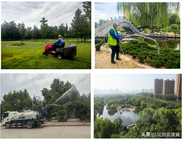 迎双节、促提升，保定市植物园打造高颜值园林景观等您打卡