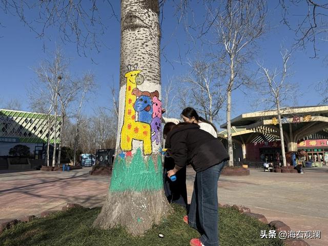 萌虎“糖糖”送福来，爪印成章迎新年