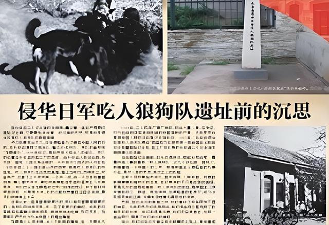1938年，一个姑娘被抓进狼窝，日本兵犯下禽兽暴行