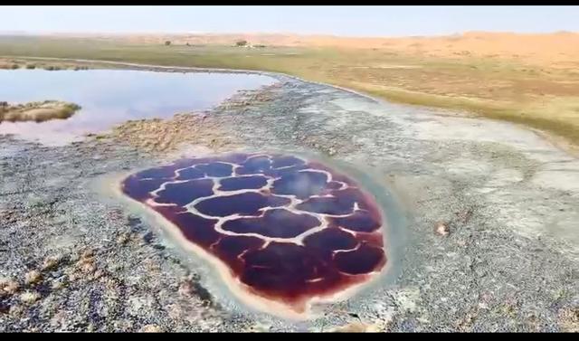 内蒙阿拉善的五湖穿越值得去吗