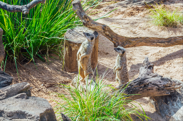 今年冬天，我想去这里过夏天