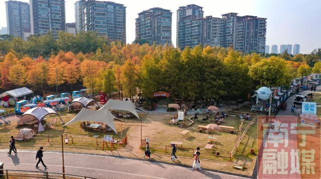 这片“橘子海森林”美翻了，简直是南宁版的洱海