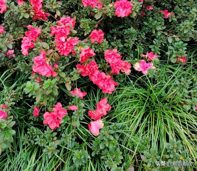 女人最大的遗憾，不是爱上渣男，不是没嫁首富，而是没成为自己。