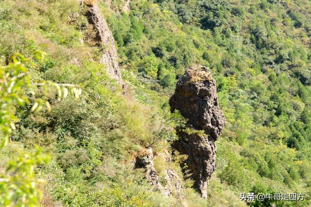 延庆应梦寺（五）：山巅极目收千嶂，林海听风涤尘心