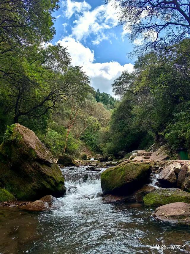 山中闲话：行走在六盘山的云雾间