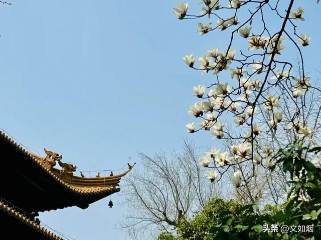 散文随笔:南京,南京