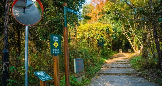 彭州这条“世界级”徒步线，走起！