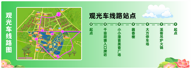 央视聚焦！新津千亩荷塘，美翻了……