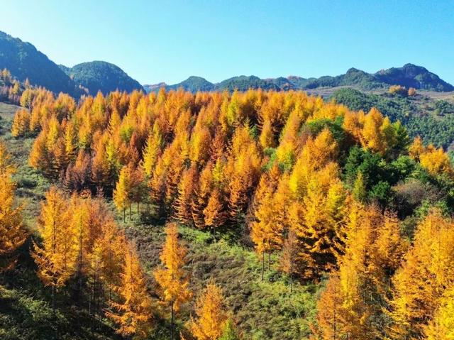 让我再看你一眼🧡