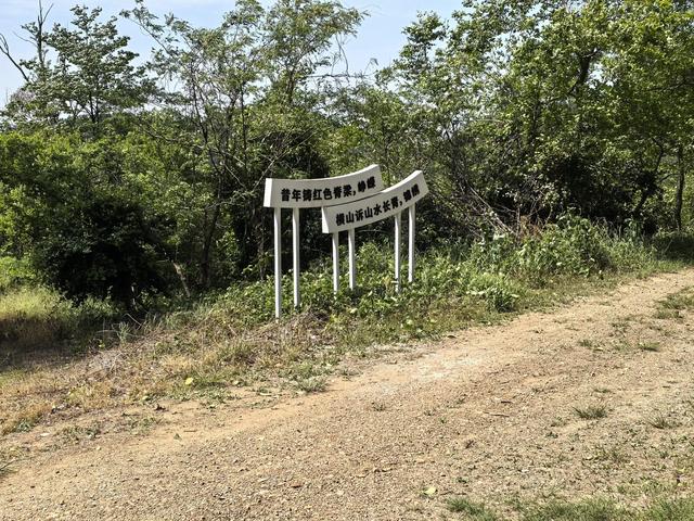 南京江宁四径山一日郊野徒步