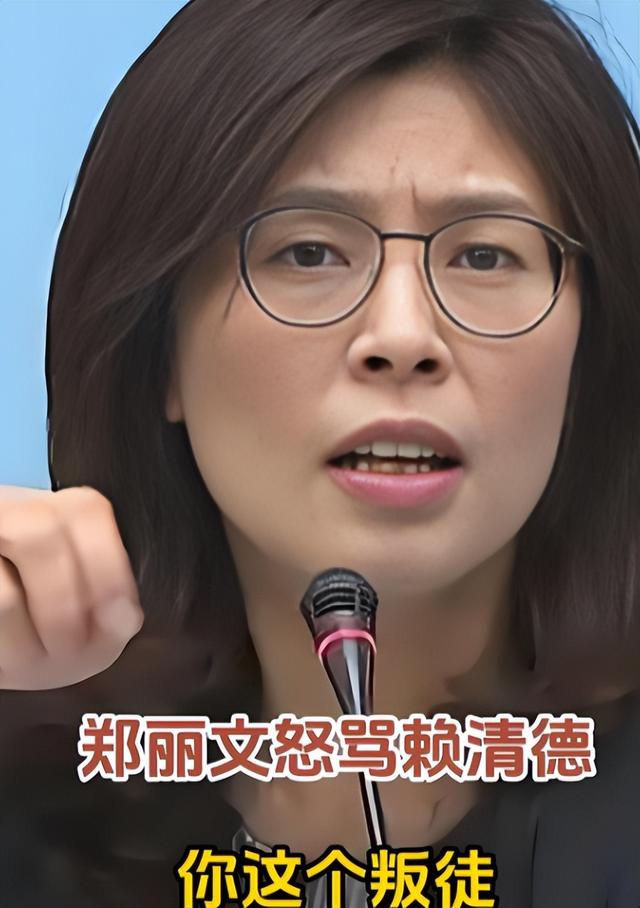 国民党主席位置坐稳，郑丽文摊牌了：两岸不回归和平，其他是侈谈