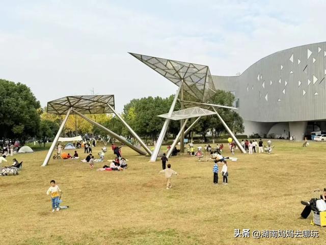 冬日遛娃就去长沙“济州岛”！水杉染红，芦苇摇浪，0元解锁 “橘子海” 日落