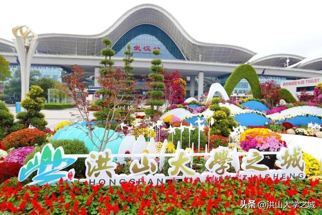 武汉洪山区第38届金秋菊展华美启幕