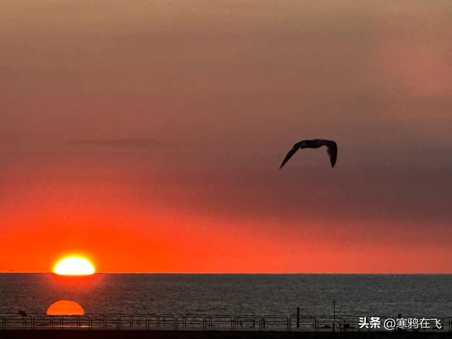 西葡游（五）兰布拉和日出