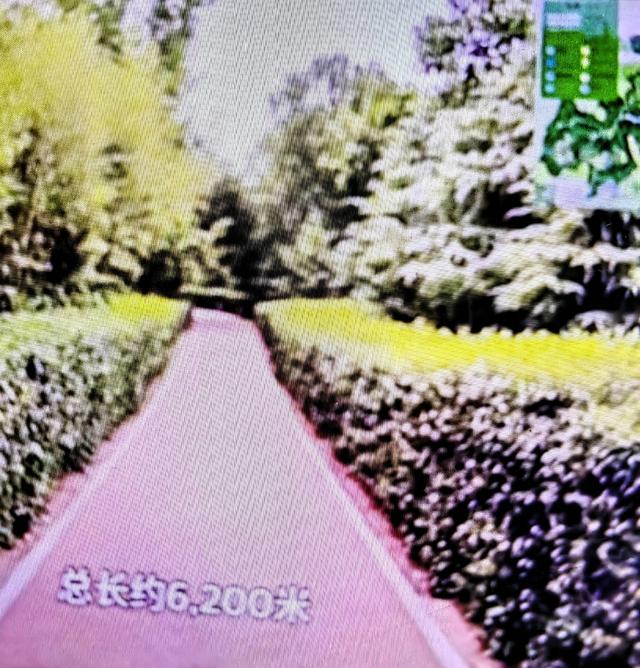 郑州4700亩“神农架”火了，免费！