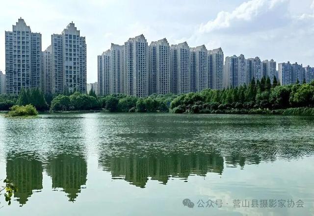 李永辉：水墨画卷——成都南湖公园