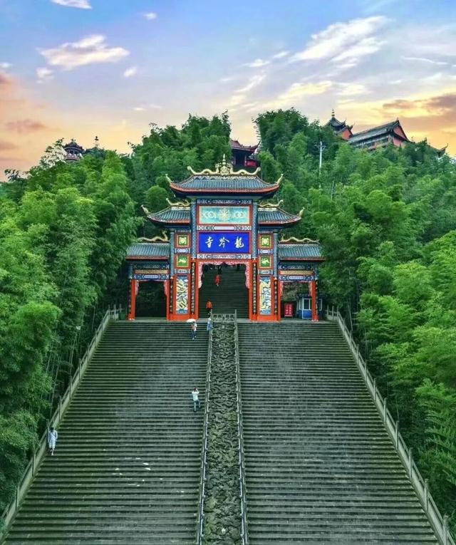 冬日竹海，限时特惠！淡季门票+超值年卡，承包一整年的美景