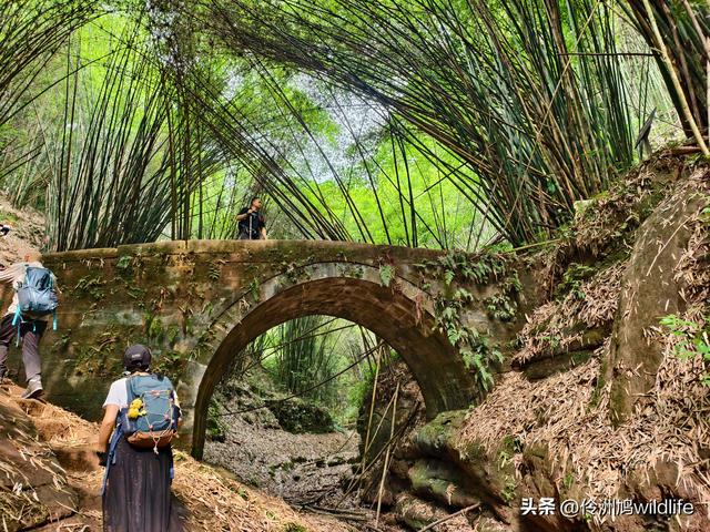 成都徒步（66）·邛崃篇⑥皮缝峡谷·皮缝古道