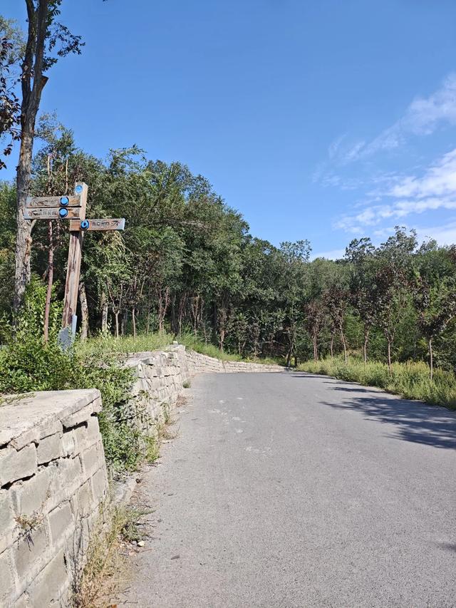 乌市水磨沟公园里的露营地，在柏油路边叫“星野拾光”，来过吗？