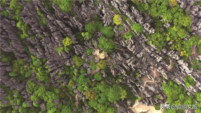 不止看风景！石林九乡两日深度旅居的N种打开方式