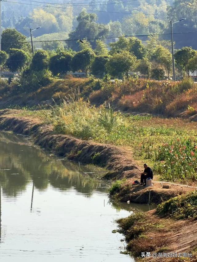 遛娃休闲两不误，在长沙“小禾木”邂逅12月初的灿烂风光！
