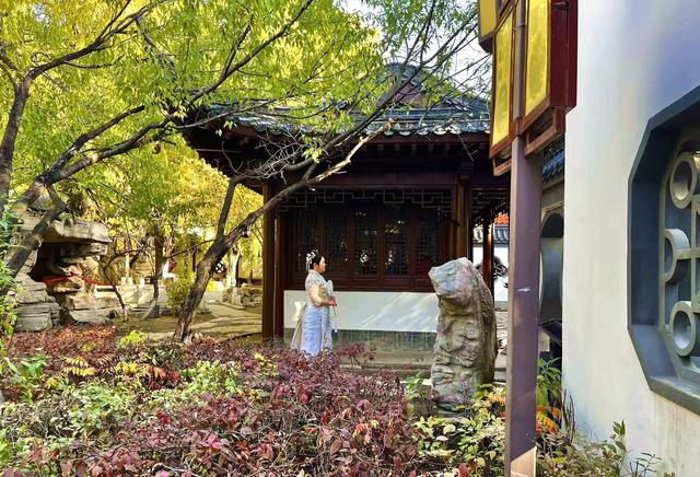 秋之彩色吉林 | 北国秋韵VS江南柔情！长春这两座公园，古朴与婉约秋景全都有