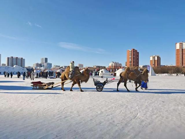 冰雪狂欢不落幕！“天天那达慕”燃动伊敏河畔 邀你嗨玩一冬
