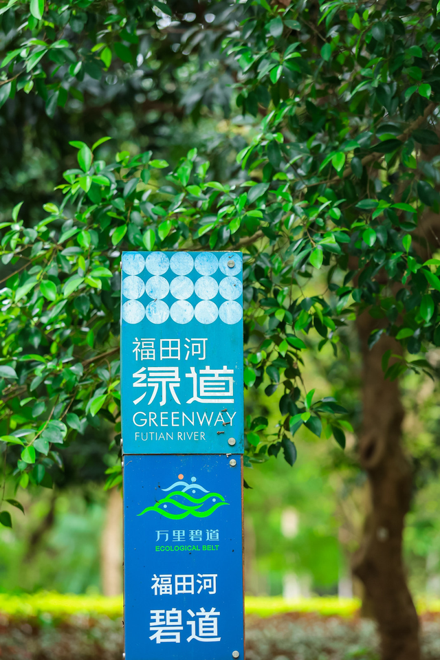 在福田，逛公园除了遛娃、运动，居然还能…… | 国际范·看福田⑭