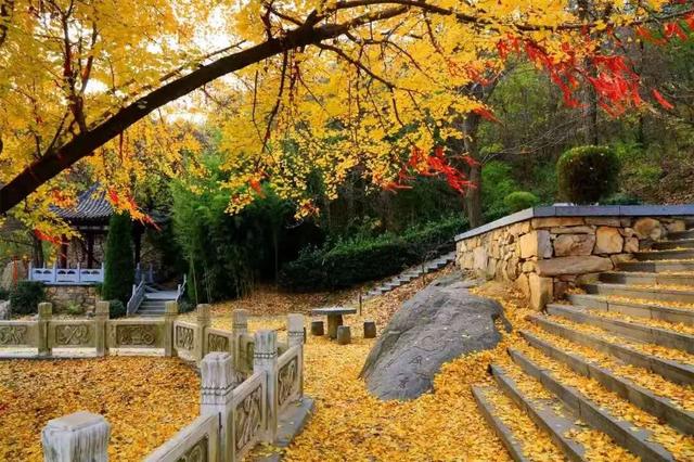 “曹洼大集”烟火逛吃+周边景区串联，去赶集啦！