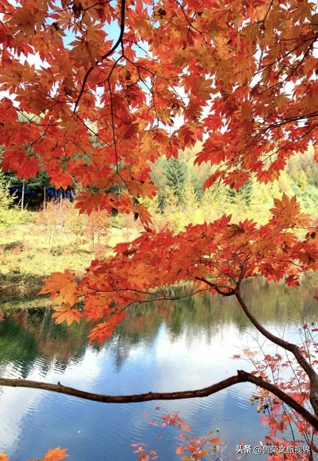 本溪：北国红枫深处的诗意秘境