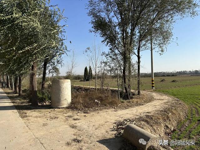 冠县乡韵·贾镇岑庄