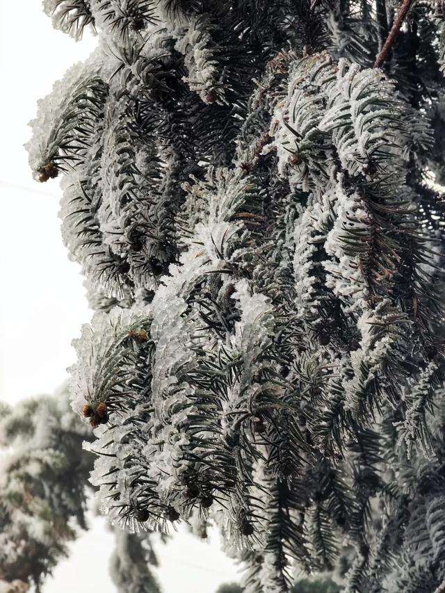 罕见一幕现身醴陵，即将消失！