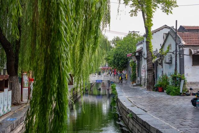 被济南泉水下的世界惊艳到了！