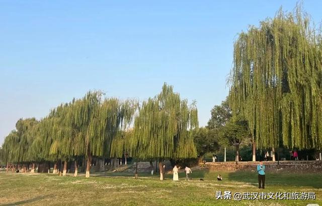 明天放晴！一口气3个好消息